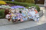 Dcim12239/DSC_5982