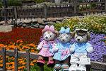 Dcim12251/DSC_7581