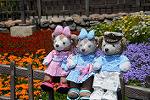 Dcim12251/DSC_7582