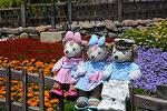 Dcim12251/DSC_7583