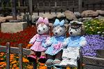 Dcim12251/DSC_7584