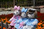 Dcim12251/DSC_7588