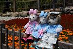 Dcim12251/DSC_7591