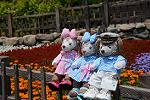 Dcim12251/DSC_7592
