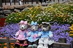 Dcim12251/DSC_7599