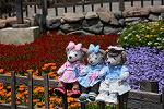 Dcim12251/DSC_7600