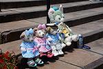 Dcim12251/DSC_7605