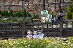 Dcim12251/DSC_7608