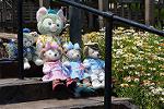 Dcim12251/DSC_7624