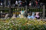 Dcim12252/DSC_7633