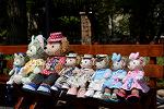 Dcim12252/DSC_7670
