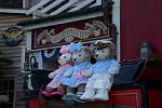 Dcim12256/DSC_8415