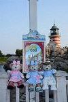 Dcim12256/DSC_8419