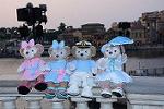 Dcim12257/DSC_8545