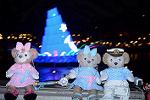 Dcim12258/DSC_8686