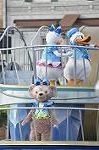 Dcim12262/DSC_2375
