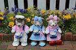 Dcim12266/DSC_9409
