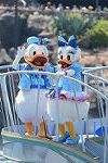 Dcim12266/DSC_9485