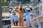 Dcim12268/DSC_9748