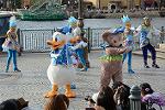 Dcim12269/DSC_9902