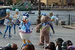 Dcim12269/DSC_9919