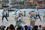 Dcim12271/DSC_0186