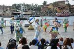 Dcim12271/DSC_0202