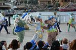 Dcim12271/DSC_0219