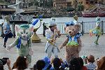 Dcim12271/DSC_0220