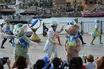 Dcim12271/DSC_0221