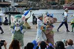 Dcim12271/DSC_0229