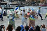 Dcim12271/DSC_0230