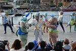 Dcim12271/DSC_0234