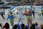 Dcim12271/DSC_0237