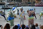 Dcim12271/DSC_0243