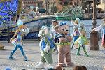 Dcim12272/DSC_0320