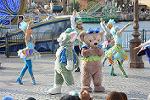Dcim12272/DSC_0323