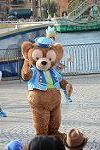 Dcim12273/DSC_0384