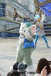 Dcim12273/DSC_0404