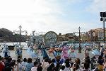 Dcim12273/DSC_0485