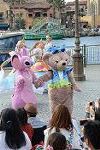 Dcim12274/DSC_0494