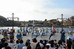 Dcim12274/DSC_0597