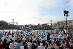 Dcim12274/DSC_0608