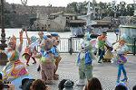 Dcim12275/DSC_0621