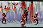 Dcim12277/DSC_2502
