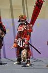 Dcim12277/DSC_2529