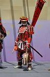 Dcim12277/DSC_2530