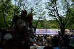 Dcim12280/DSC_0911