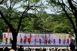 Dcim12281/DSC_0985