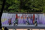 Dcim12281/DSC_1009